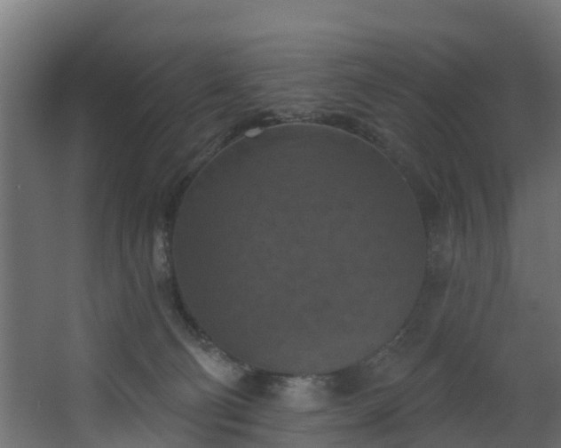 X0000068740130200605011035