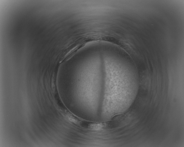 X0000068740131200605011035