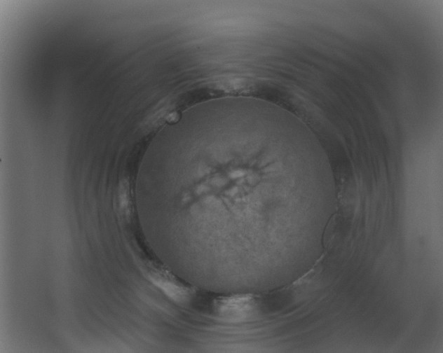 X0000068740132200605011035