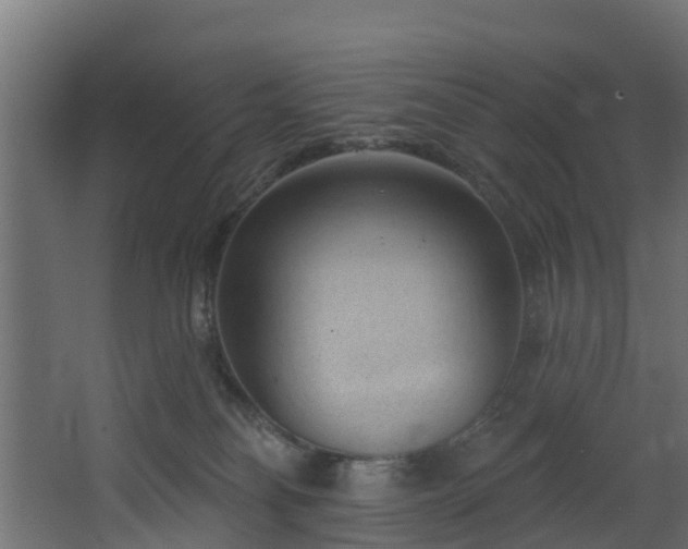 X0000068740134200605011035