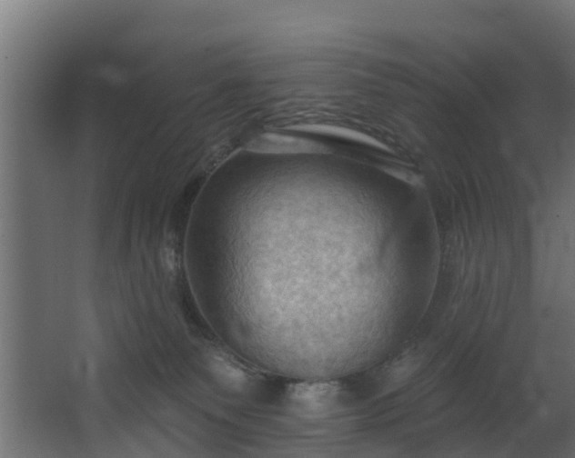 X0000068740135200605011035