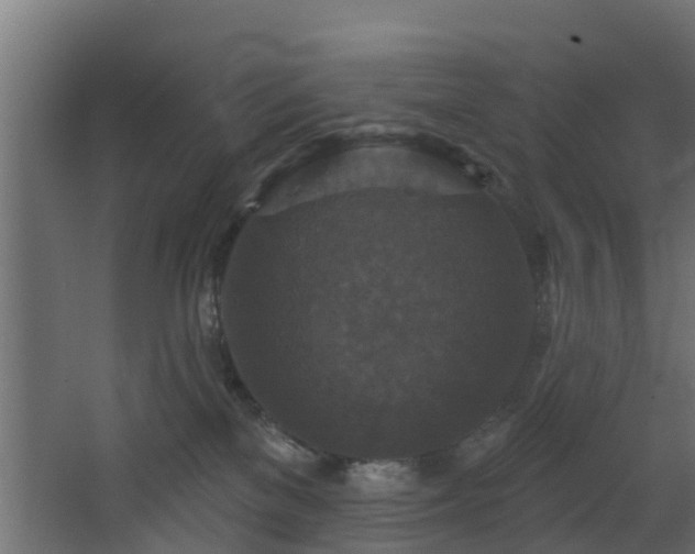 X0000068740137200605011035