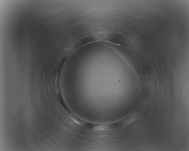 X0000068740139200605011035