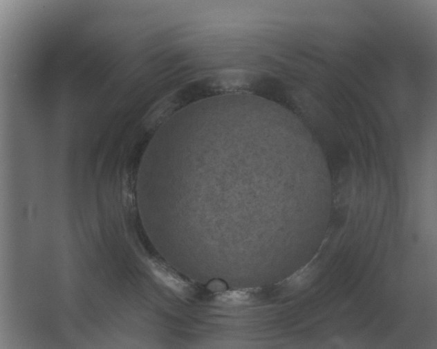 X0000068740140200605011035