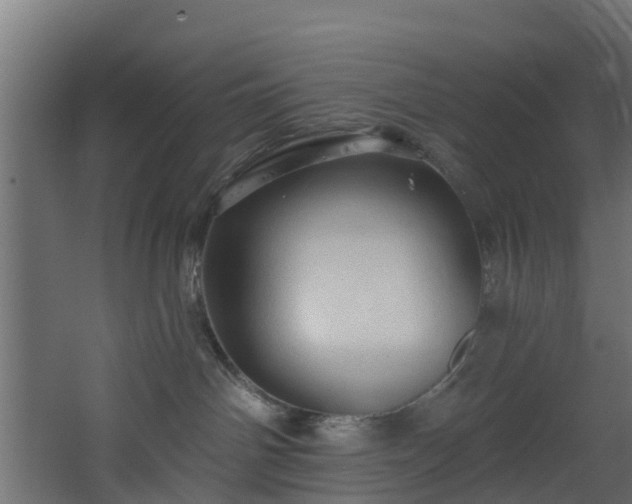 X0000068740142200605011035