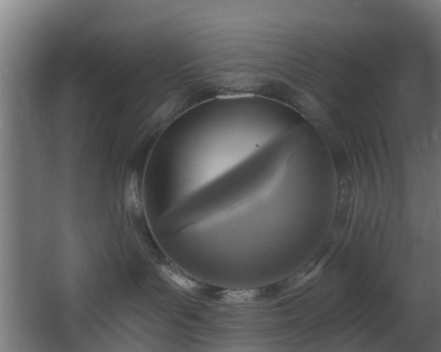 X0000068740143200605011035