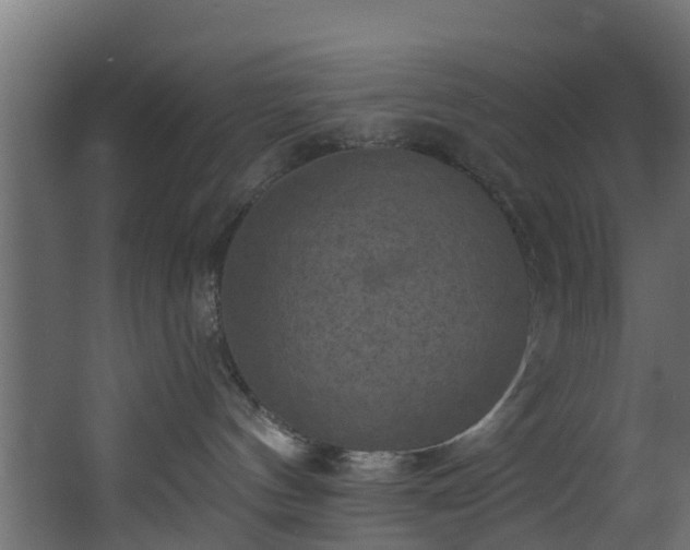 X0000068740144200605011035