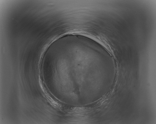 X0000068740145200605011034