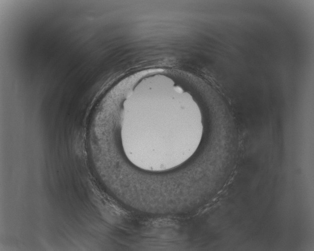 X0000068740146200605011034