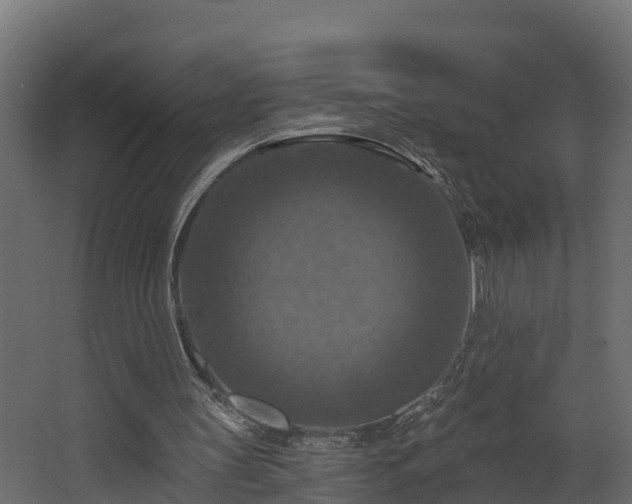 X0000068740147200605011034