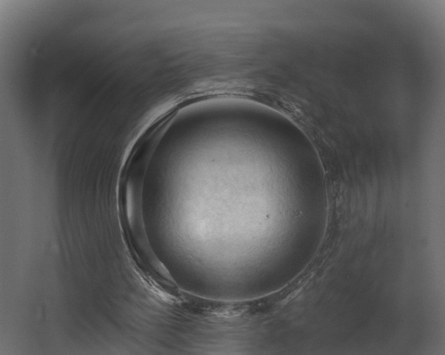 X0000068740148200605011034