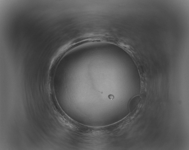 X0000068740149200605011034