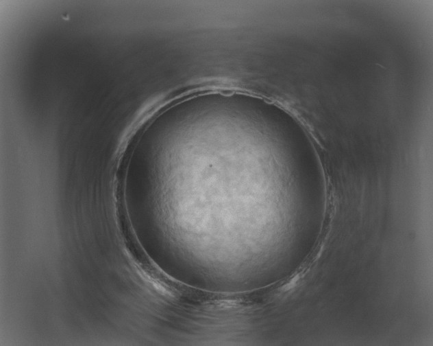 X0000068740151200605011034