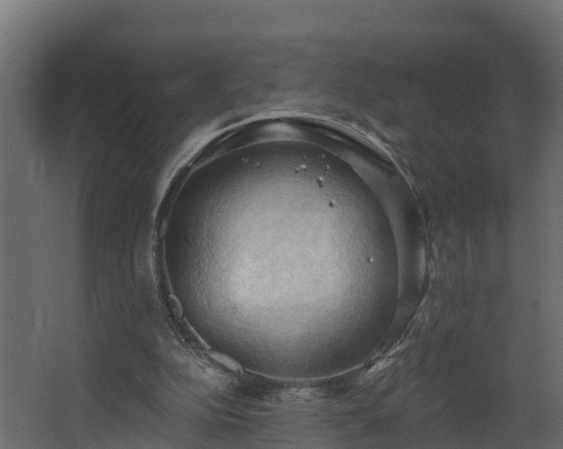 X0000068740152200605011034