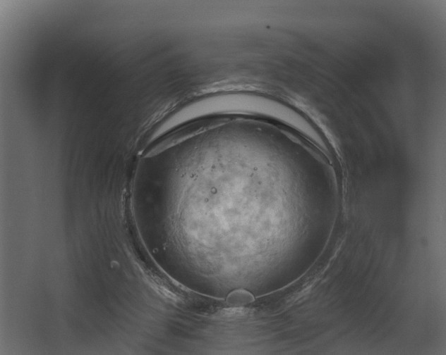 X0000068740153200605011034