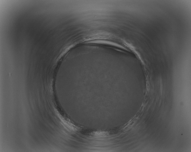 X0000068740154200605011034