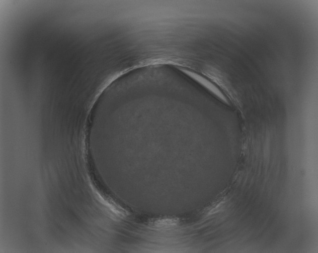 X0000068740156200605011034