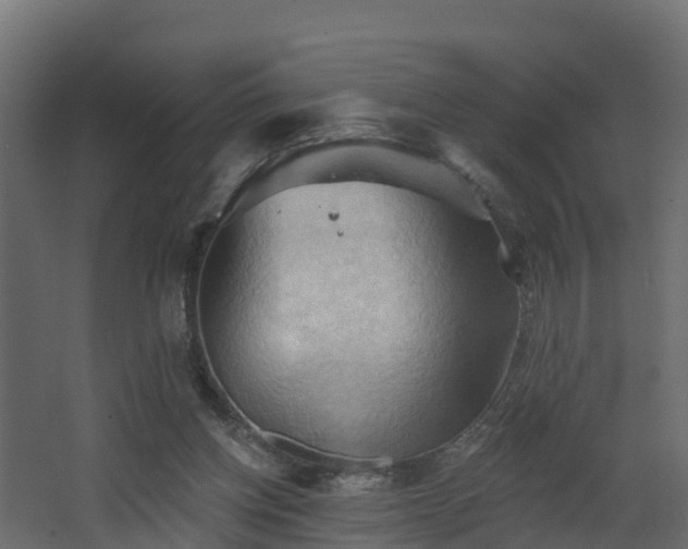 X0000068740158200605011034