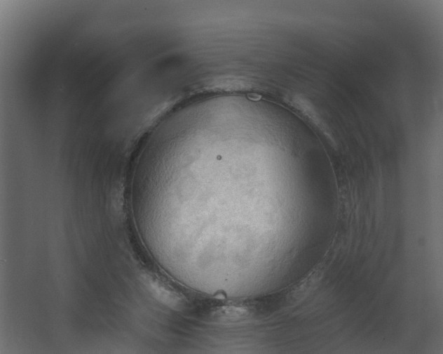 X0000068740159200605011034