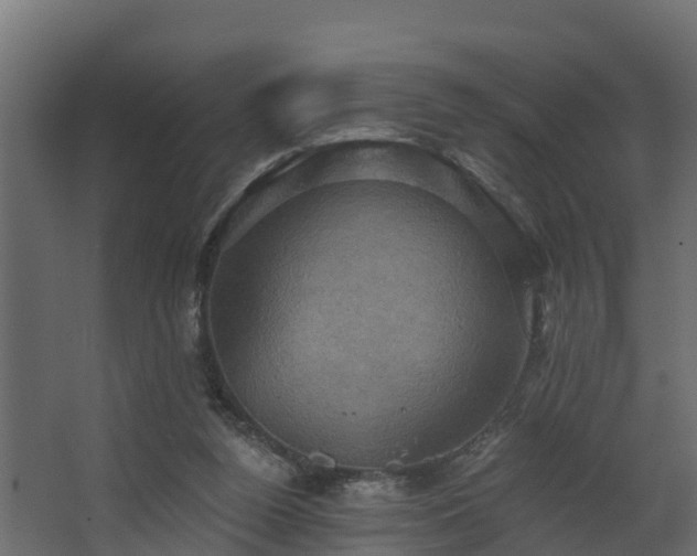 X0000068740160200605011034