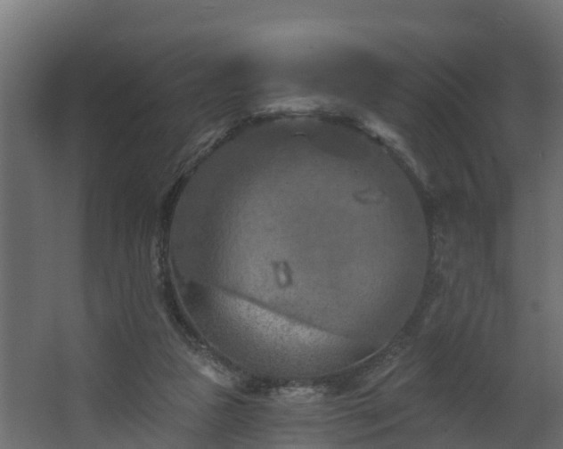 X0000068740161200605011034