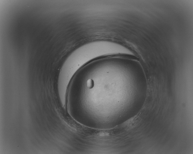 X0000068740162200605011034