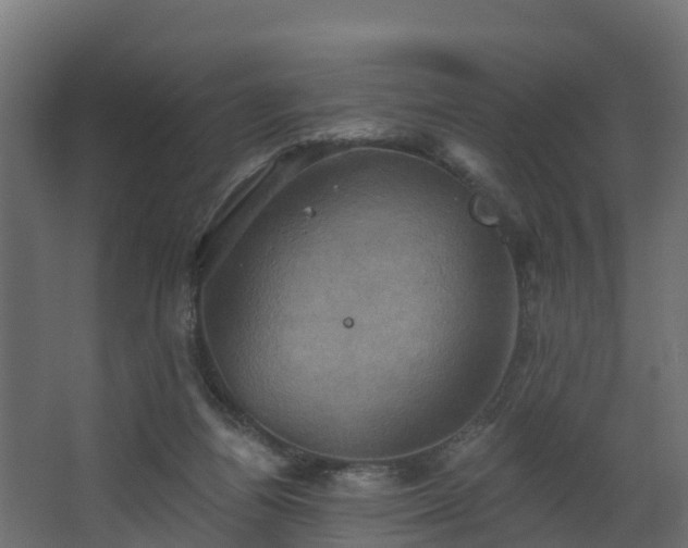 X0000068740164200605011034