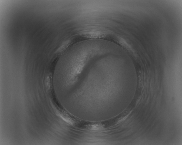 X0000068740165200605011034