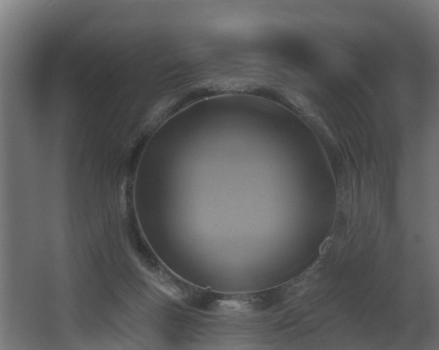 X0000068740167200605011034