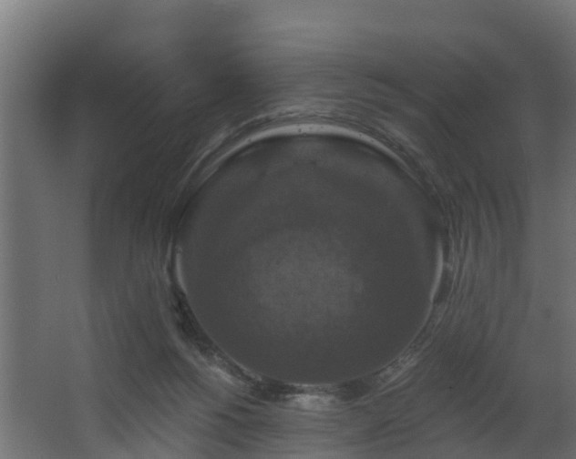 X0000068740168200605011034