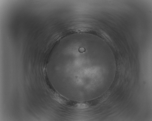 X0000068740169200605011034