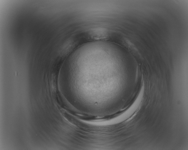 X0000068740170200605011034