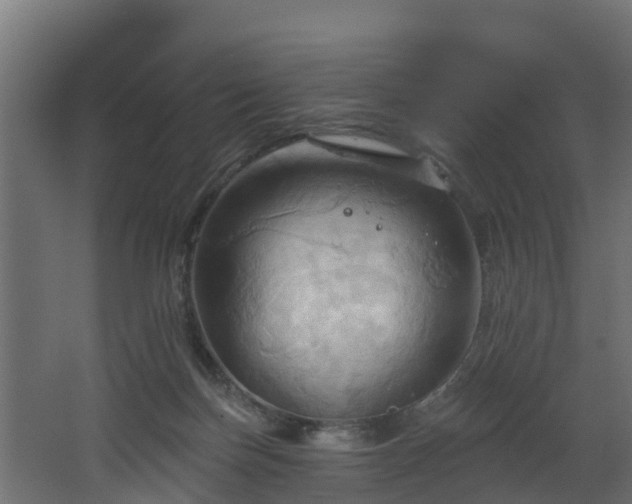 X0000068740171200605011034