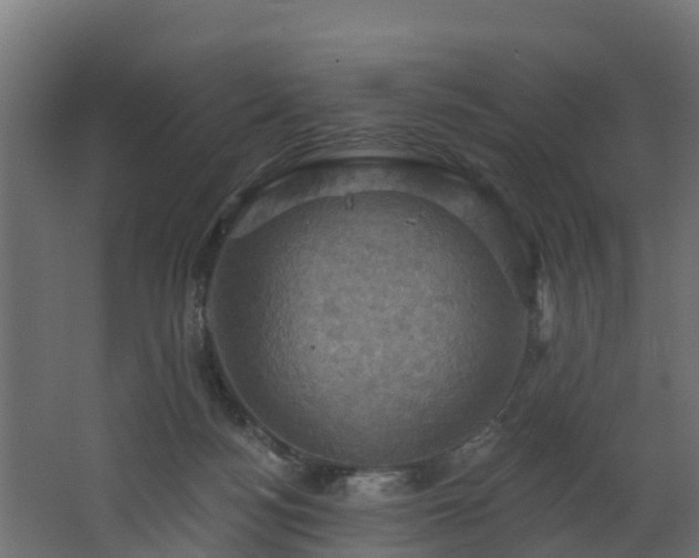 X0000068740172200605011034