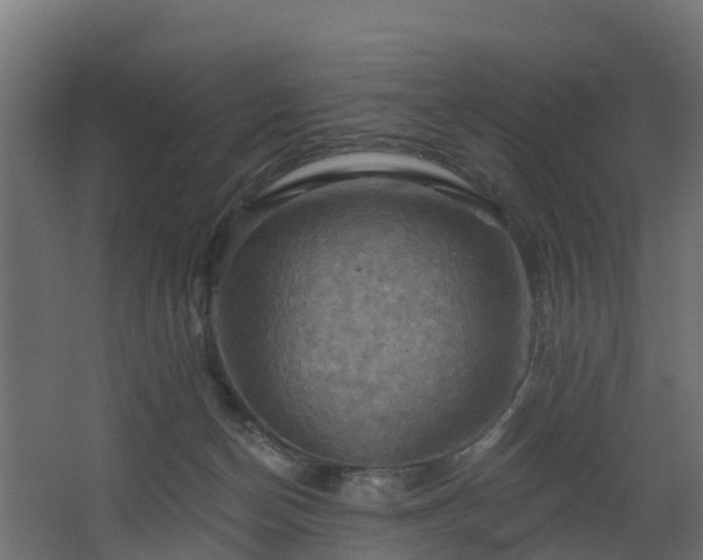 X0000068740174200605011035