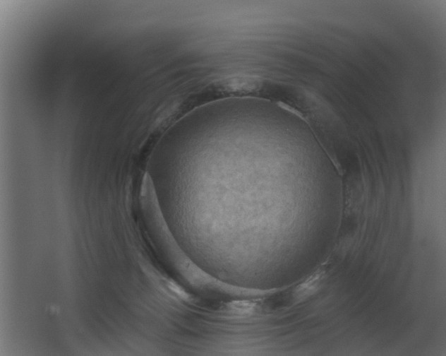 X0000068740176200605011035