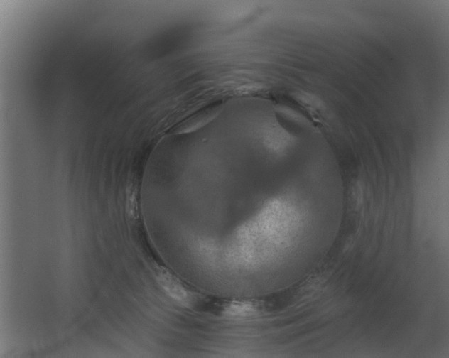 X0000068740177200605011035