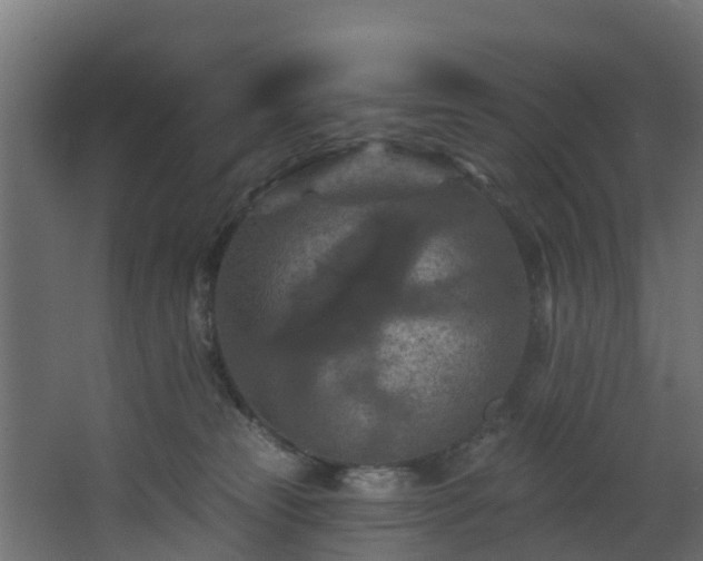 X0000068740181200605011035