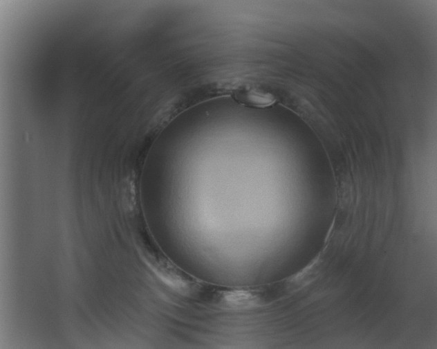 X0000068740183200605011035