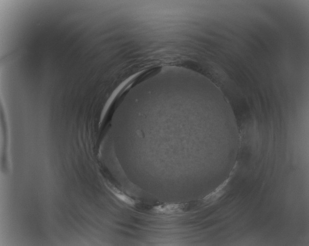 X0000068740186200605011035