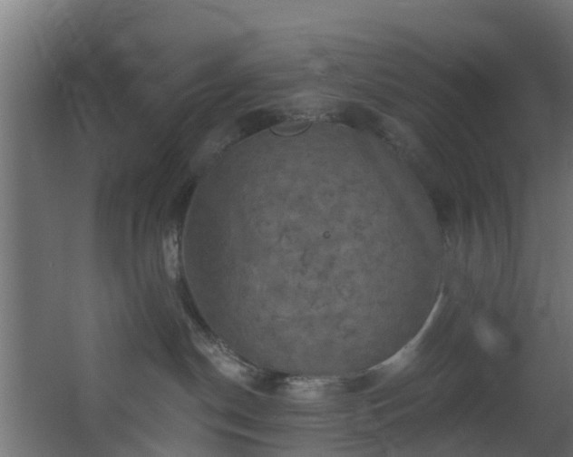 X0000068740190200605011035