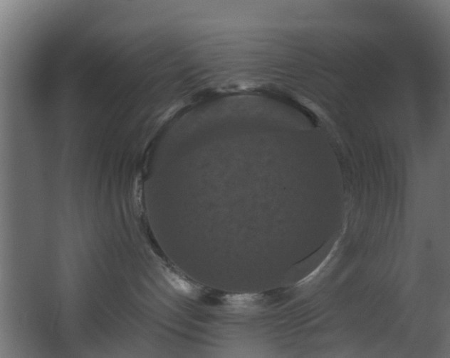 X0000068740192200605011035