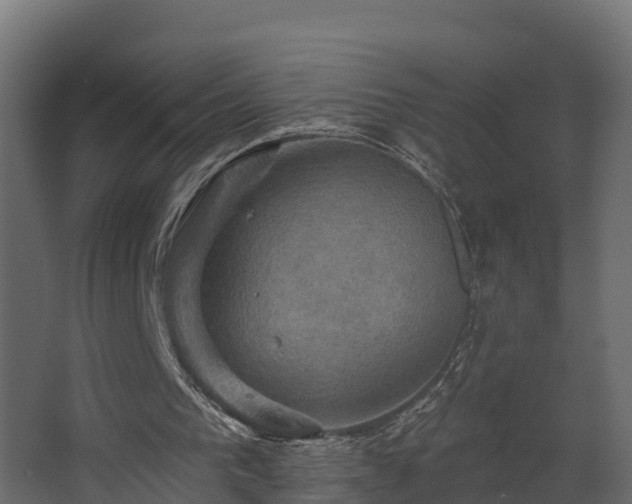 X0000068740193200605011034