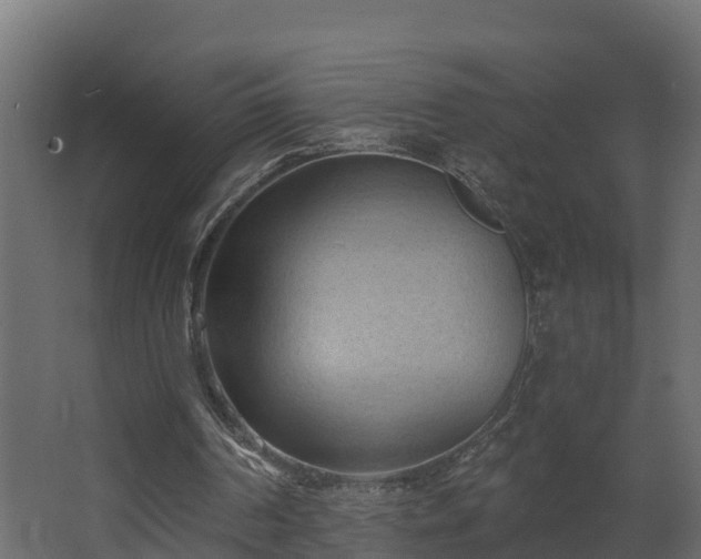 X0000068740194200605011034