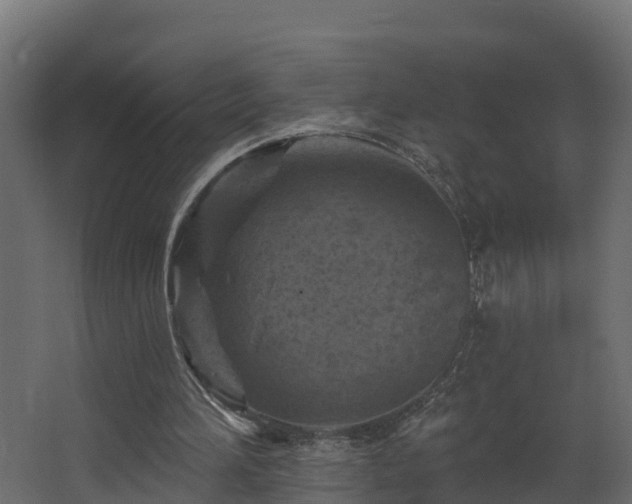 X0000068740196200605011034