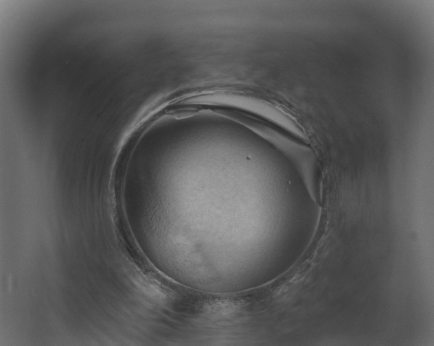 X0000068740198200605011034