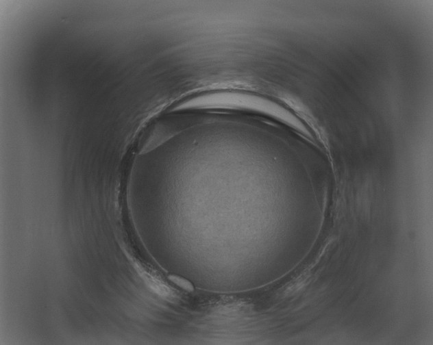 X0000068740201200605011034