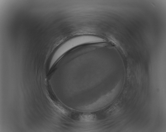 X0000068740202200605011034