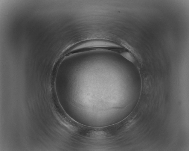 X0000068740203200605011034