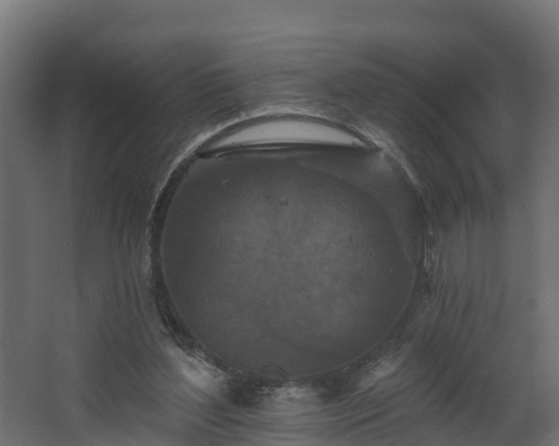 X0000068740204200605011034